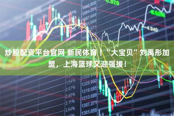 炒股配资平台官网 新民体育丨“大宝贝”刘禹彤加盟，上海篮球又迎强援！
